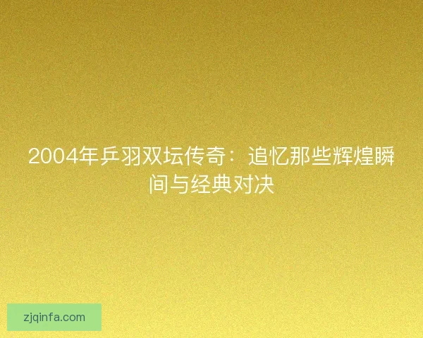 2004年乒羽双坛传奇：追忆那些辉煌瞬间与经典对决