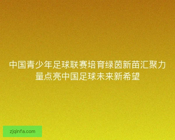 中国青少年足球联赛培育绿茵新苗汇聚力量点亮中国足球未来新希望
